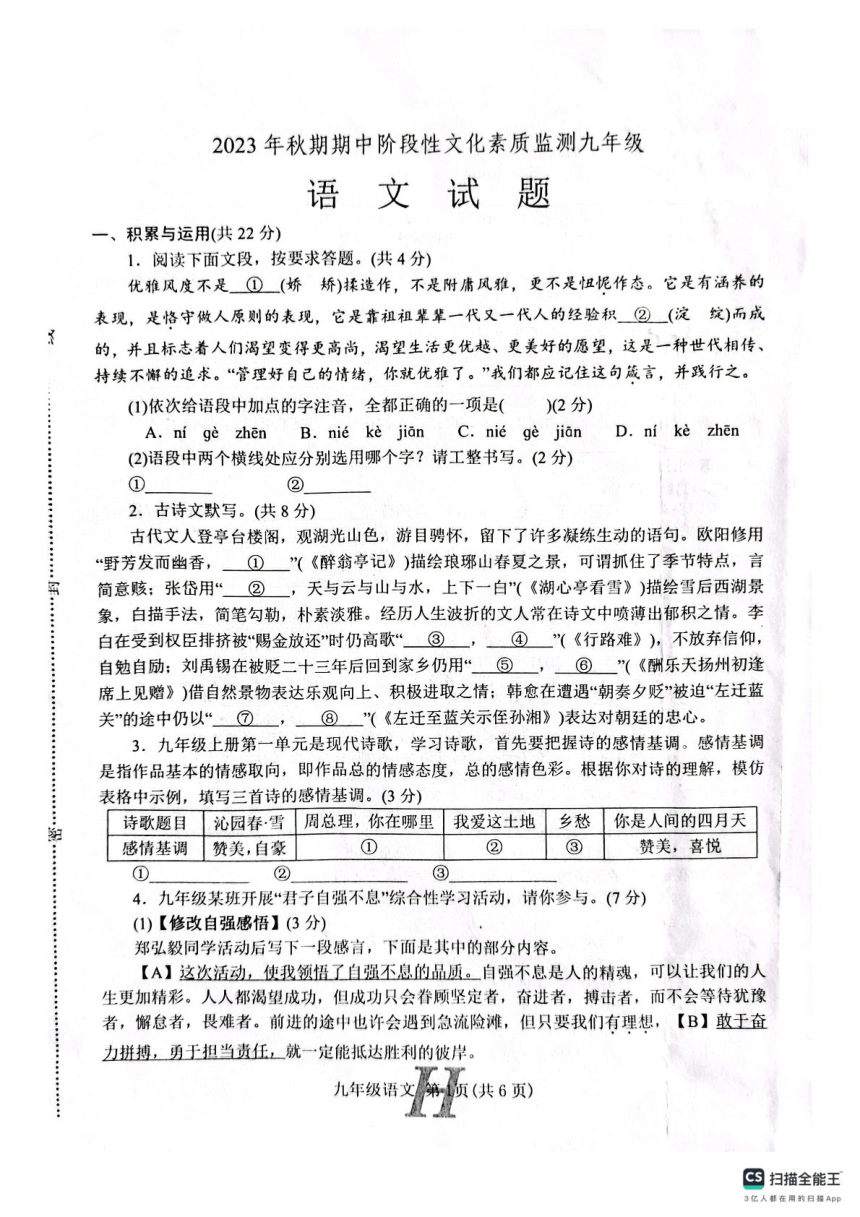 河南省南阳市唐河县2023-2024学年九年级上学期11月期中语文试题 （pdf版含答案）