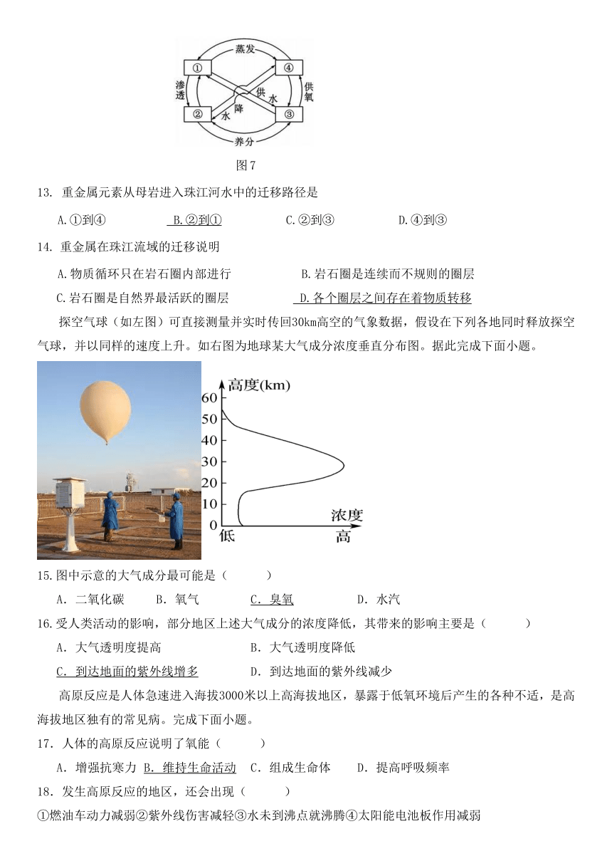 四川省眉山市仁寿第一中学校（北校）2023-2024学年高一上学期期中考试地理试题（含答案）