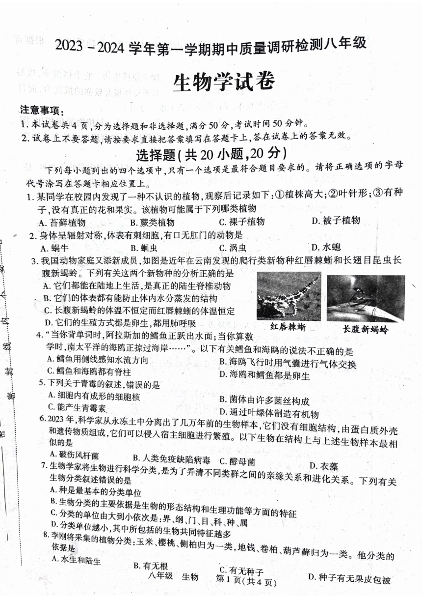 河南省洛阳市伊川县2023-2024学年八年级上学期期中生物学试题（PDF版 无答案）