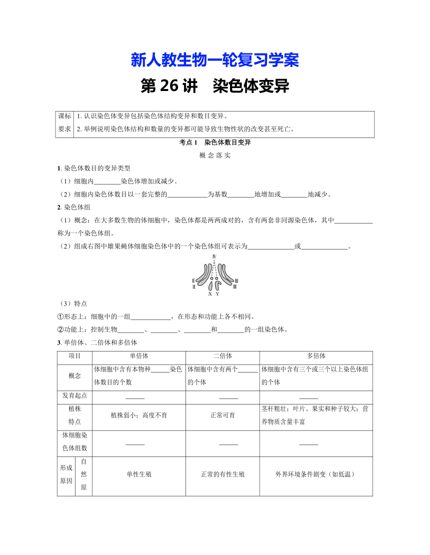 新人教生物一轮复习学案：第26讲　染色体变异（含答案解析）