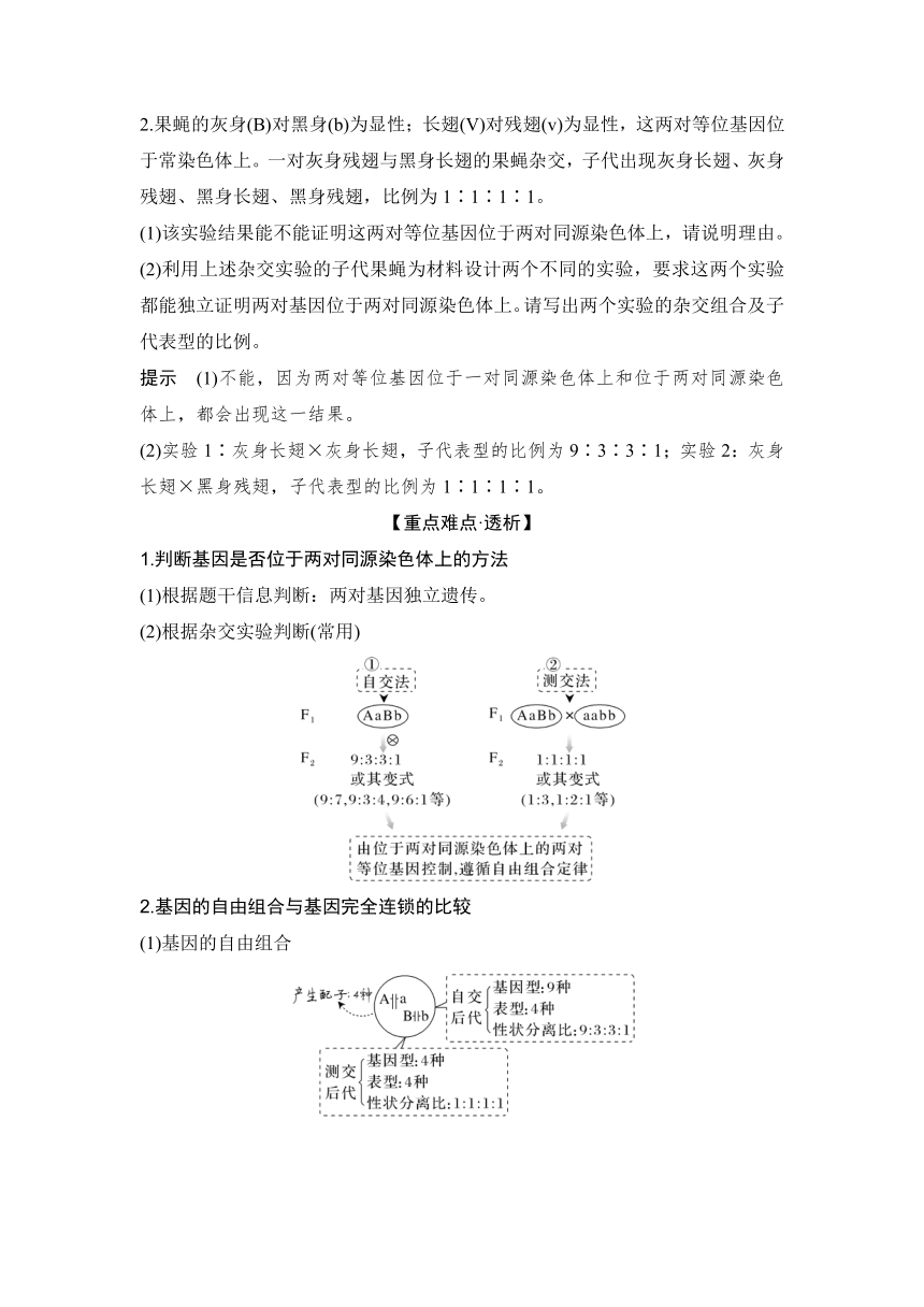 1.2基因的自由组合定律微专题练习2023-2024学年高一下学期生物人教版必修2（含答案）