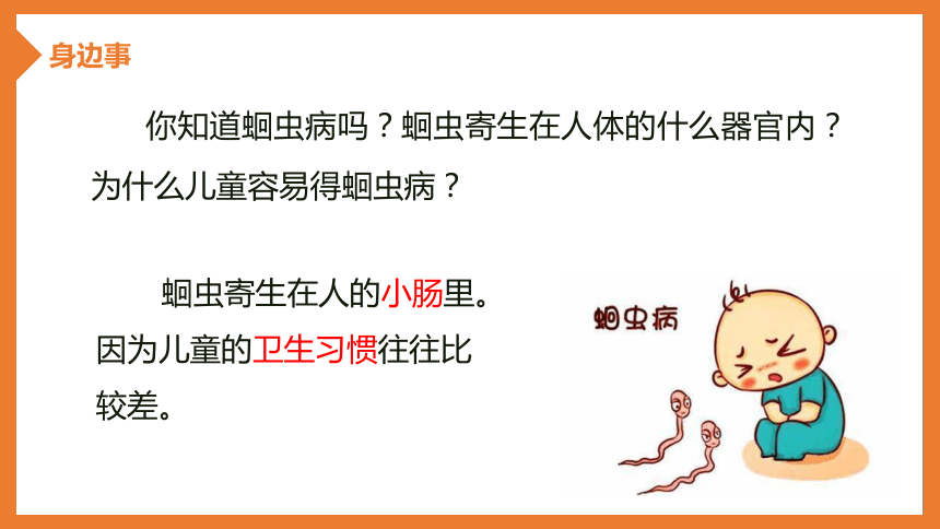 1.4.3 线形动物和环节动物 课件-2023-2024学年冀少版生物七年级上册(共37张PPT)