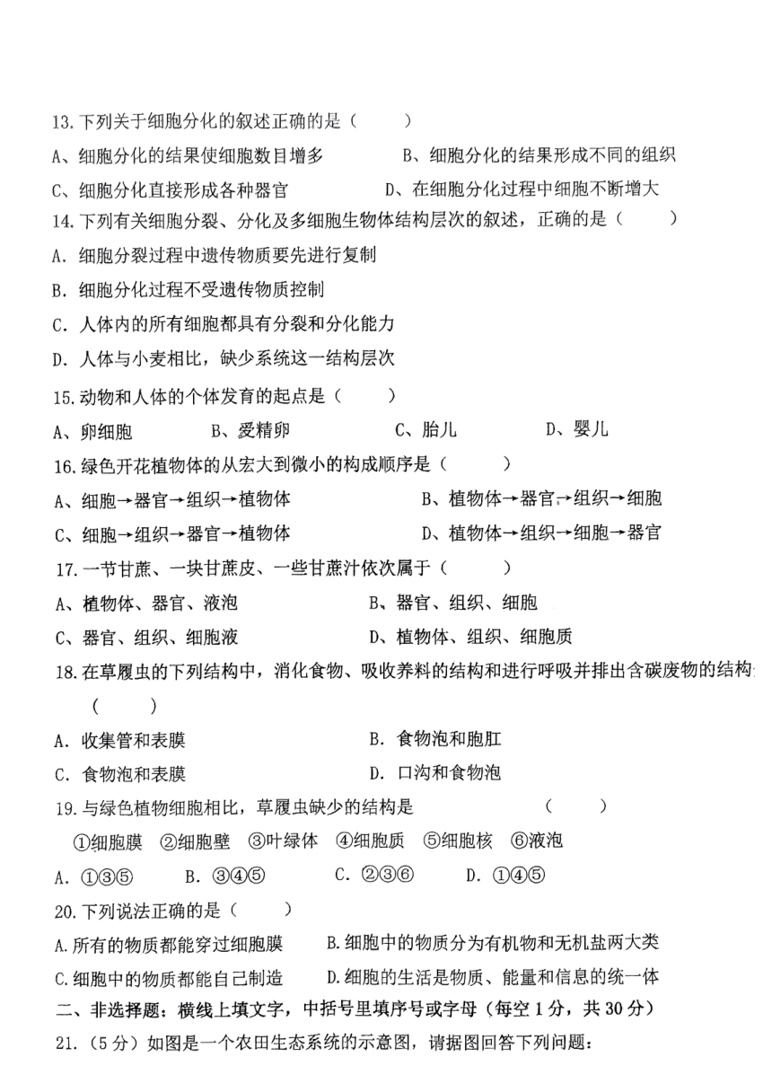 辽宁省丹东市第五中学2023-2024学年七年级上学期期中测试生物试卷（PDF版 无答案）