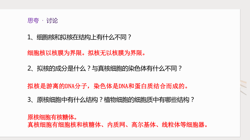 1.2 细胞的多样性和统一性课件(共21张PPT)-高一生物学（人教版2019必修1）