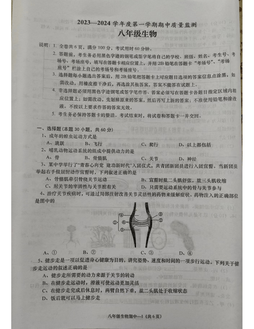 广东省揭阳市惠来县2023-2024学年第一学期八年级上册期中生物（pdf版无答案）