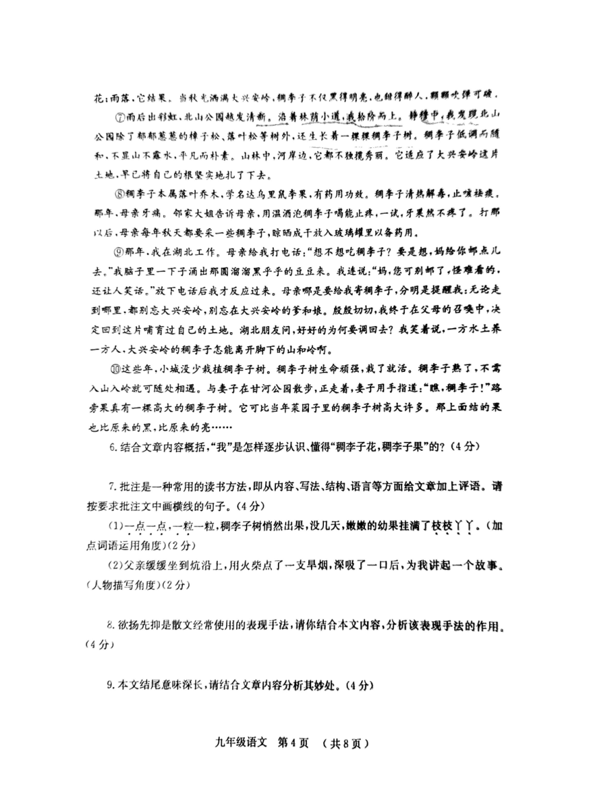 河南省安阳市汤阴县2023-2024学年九年级上学期11月期中考试语文试题（图片版，含答案）