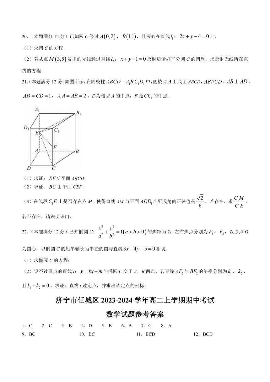 山东省济宁市任城区2023-2024学年高二上学期期中考试数学试题（含答案）