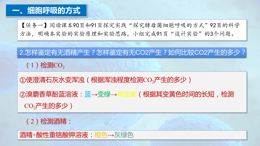 5.3 细胞呼吸的原理和应用（第1课时）(共33张PPT1个视频)-人教版2019必修1