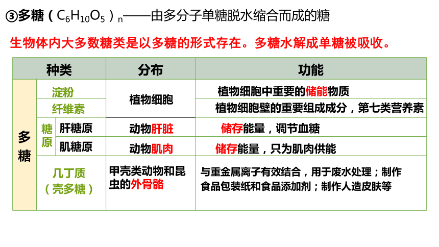 2.3细胞中的糖类和脂质课件(共21张PPT) 生物人教版必修1