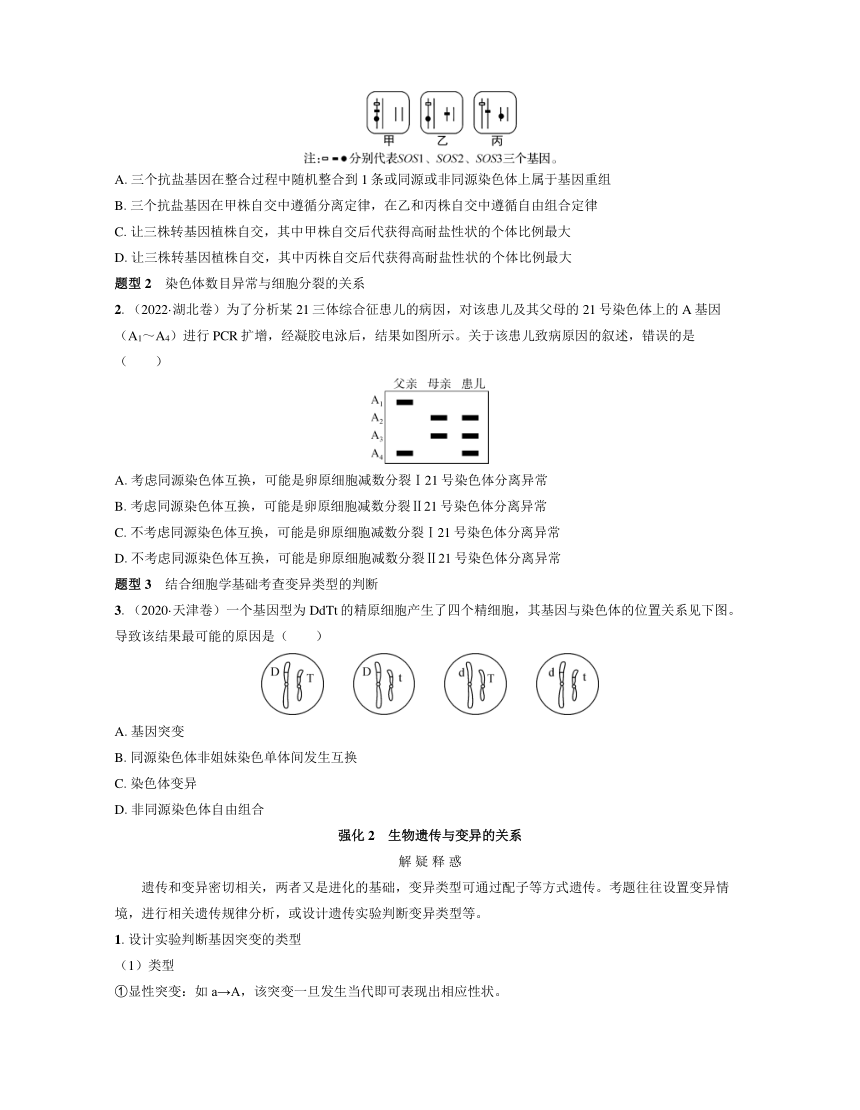 新人教生物一轮复习高频考点解析训练：6  聚焦细胞分裂、遗传、变异三者的联系（含解析）