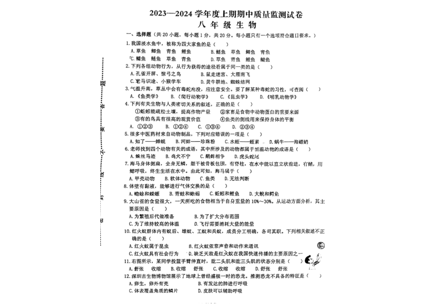 河南省信阳市罗山县2023-2024学年八年级上学期期中生物试题（PDF版无答案）