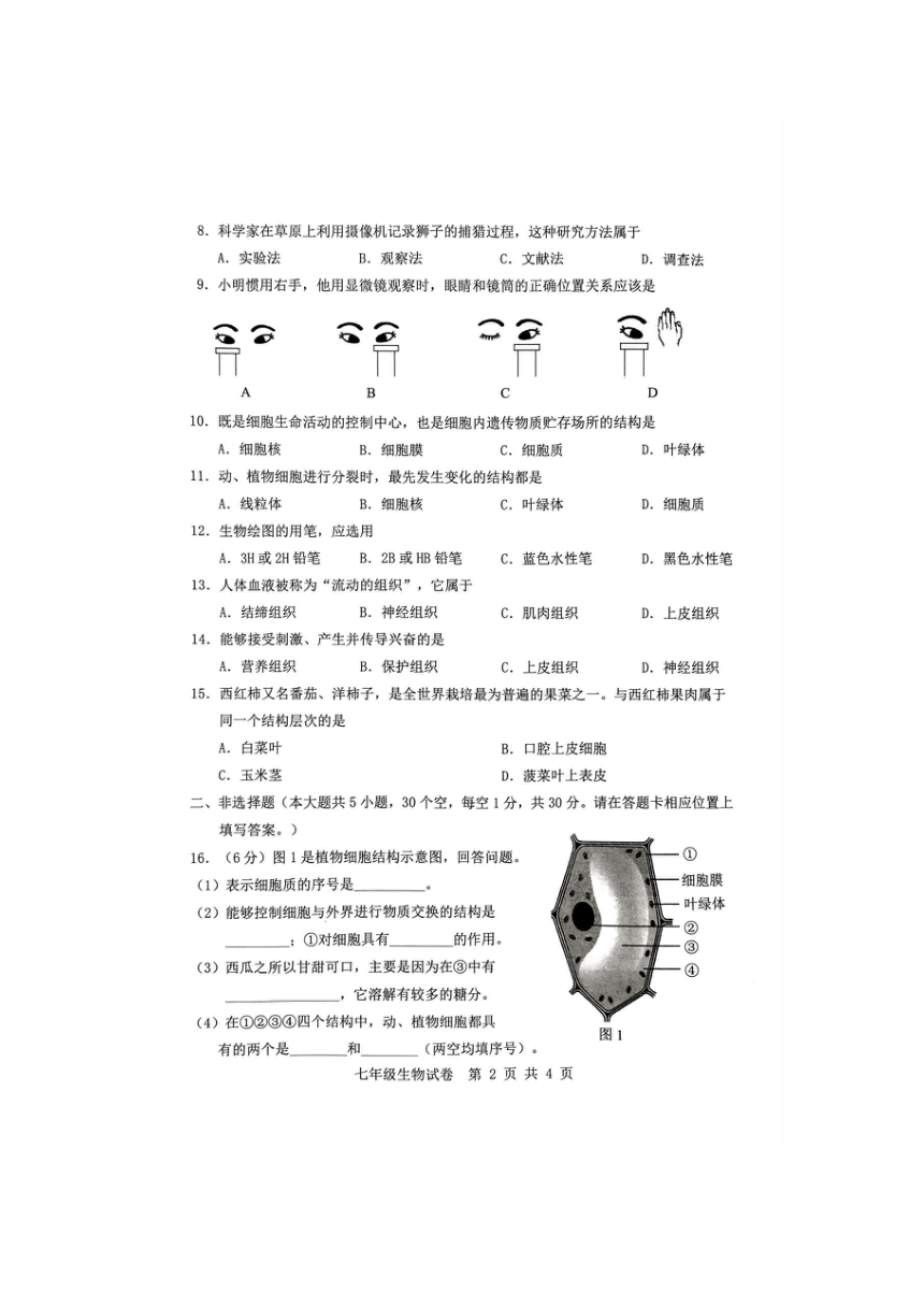 广西贵港市港南区2023-2024学年七年级上学期期中生物试题（图片版含答案）