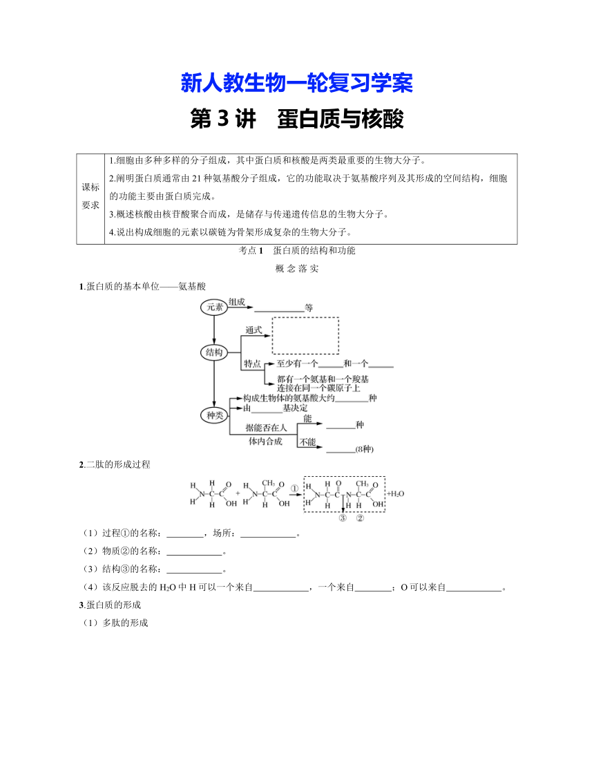 新人教生物一轮复习学案：第3讲　蛋白质与核酸（含答案解析）