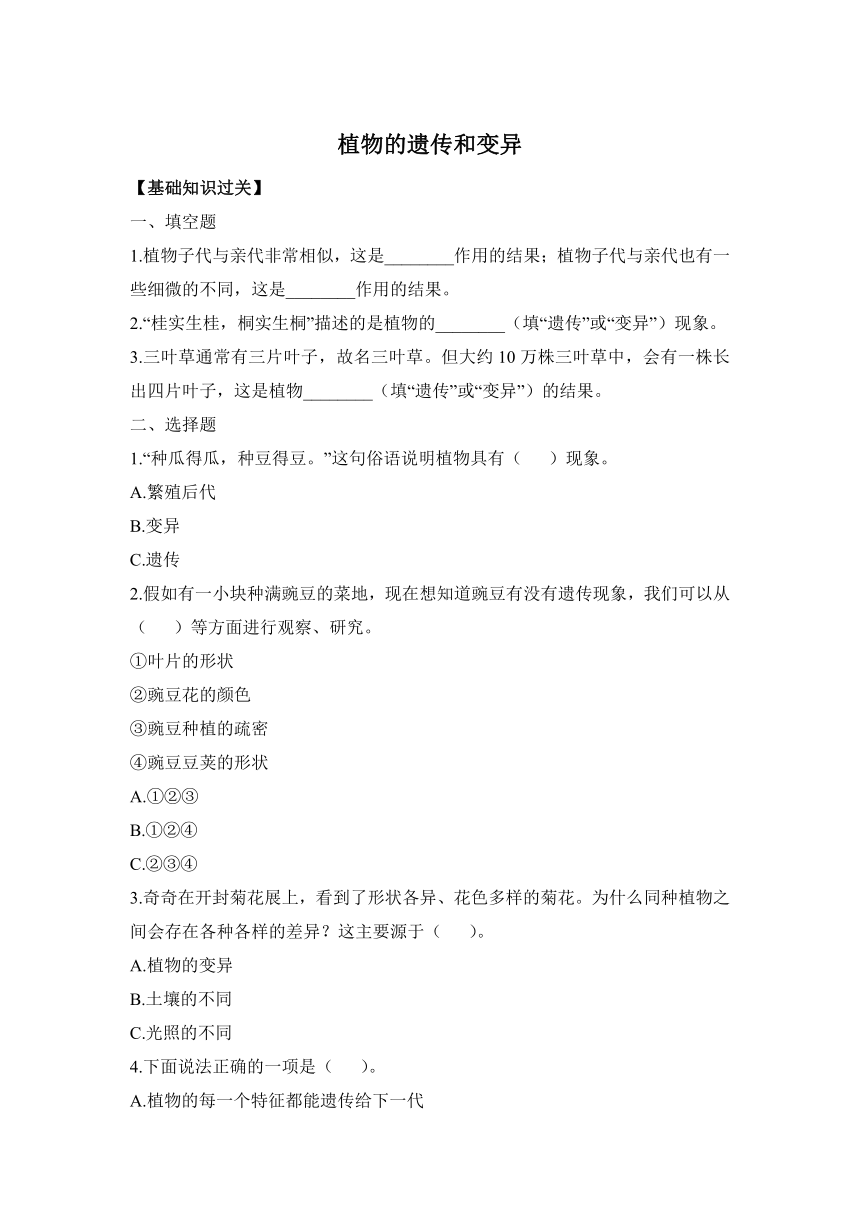 大象版科学六年级上册4.3《植物的遗传和变异》同步作业（含答案）