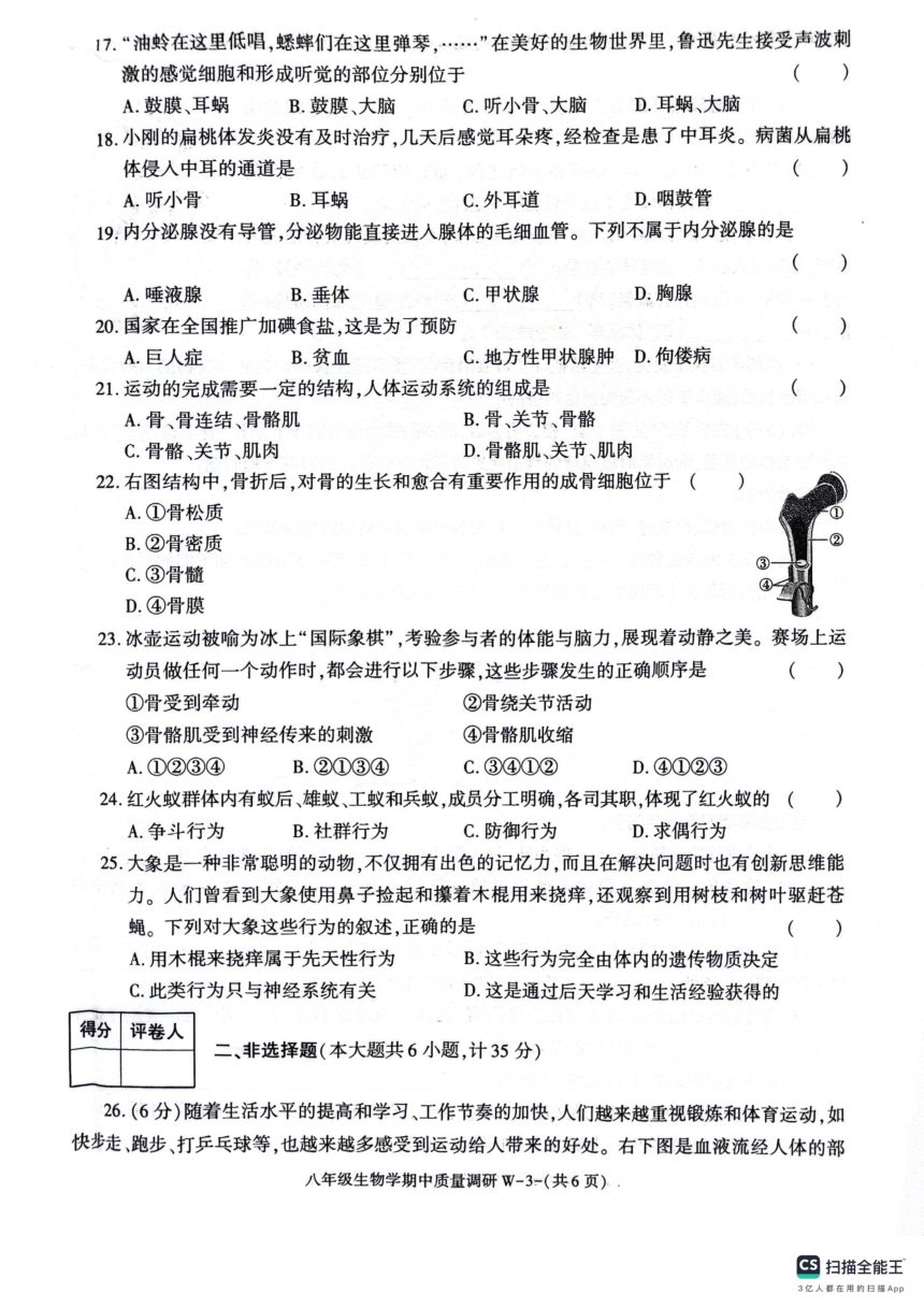 陕西省渭南市临渭区2023-2024学年八年级上学期期中生物试题（PDF版含答案）