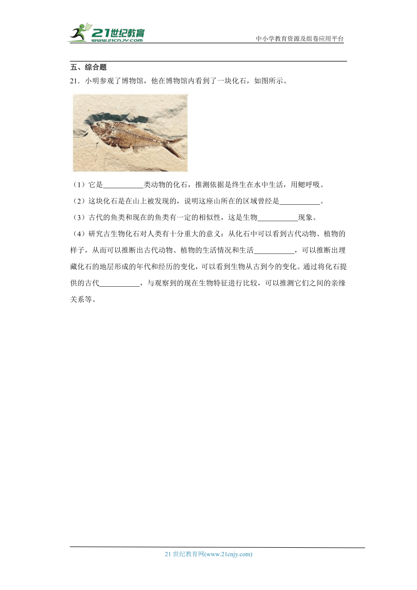 人教鄂教版五年级上册科学2.7 灭绝的远古动物 同步练习（含答案）