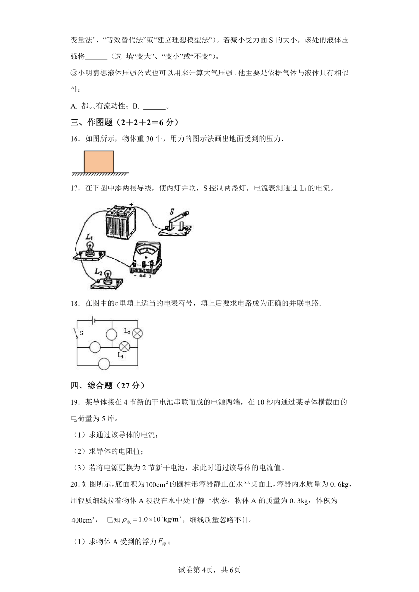 上海市杨浦区存志学校2023-2024学年九年级上学期期中考试物理试题（含解析）