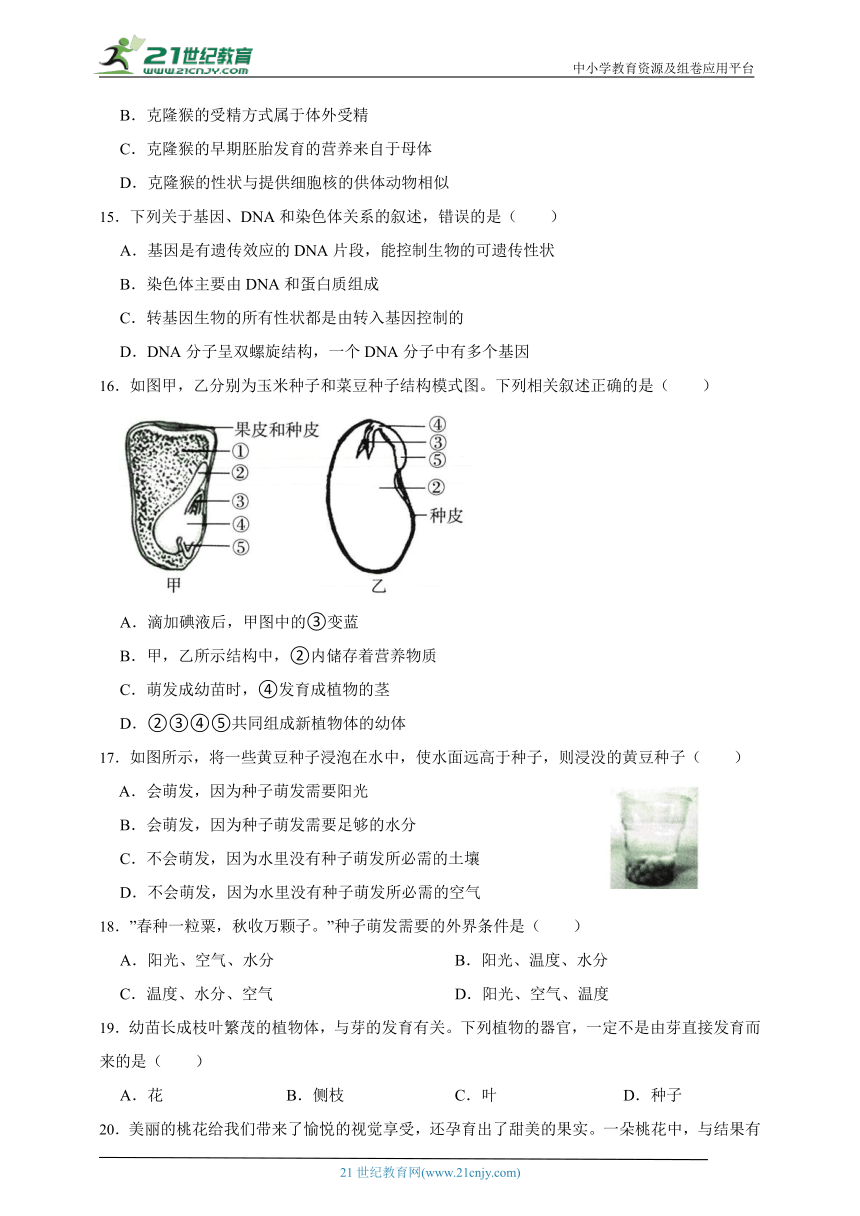 2024年中考科学第一轮复习：生物之生命的延续和进化