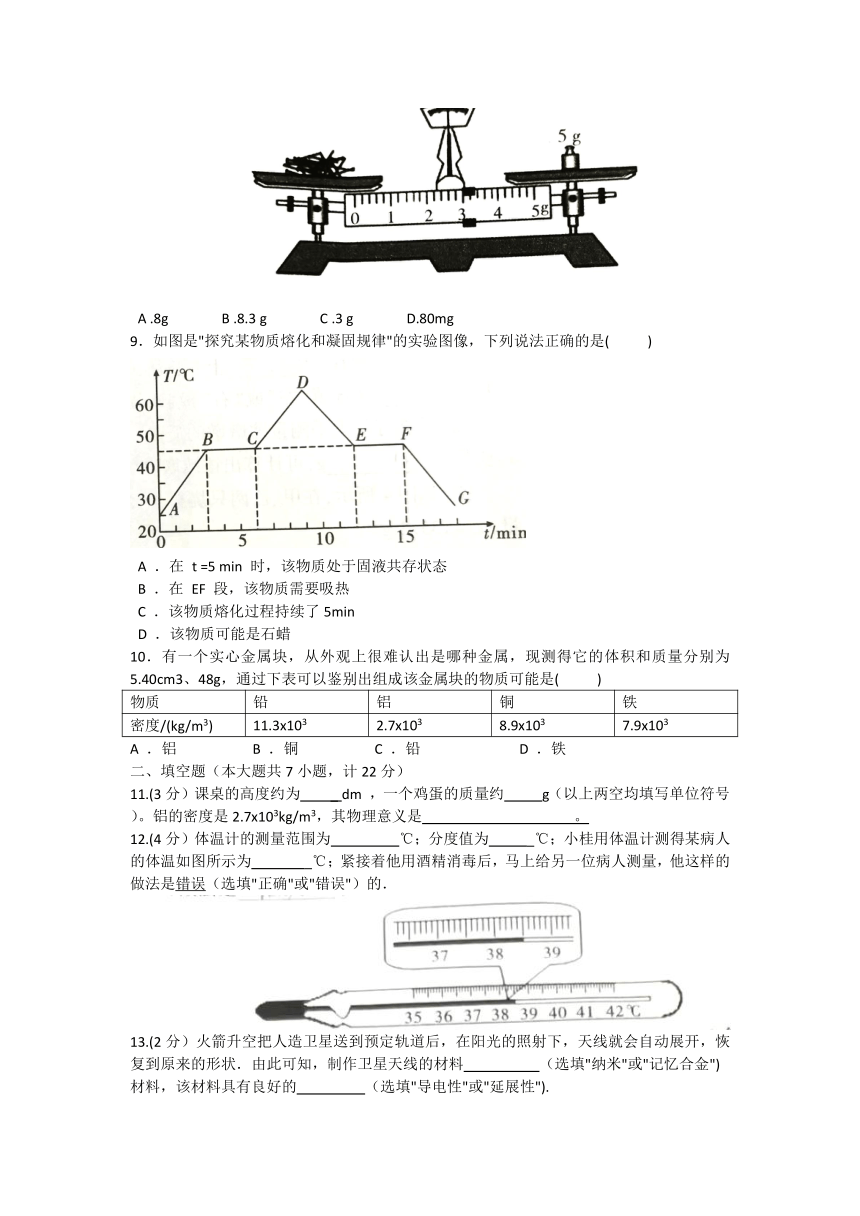 陕西省宝鸡市陈仓初中2023-2024学年八年级上学期期中考试物理题（含答案）