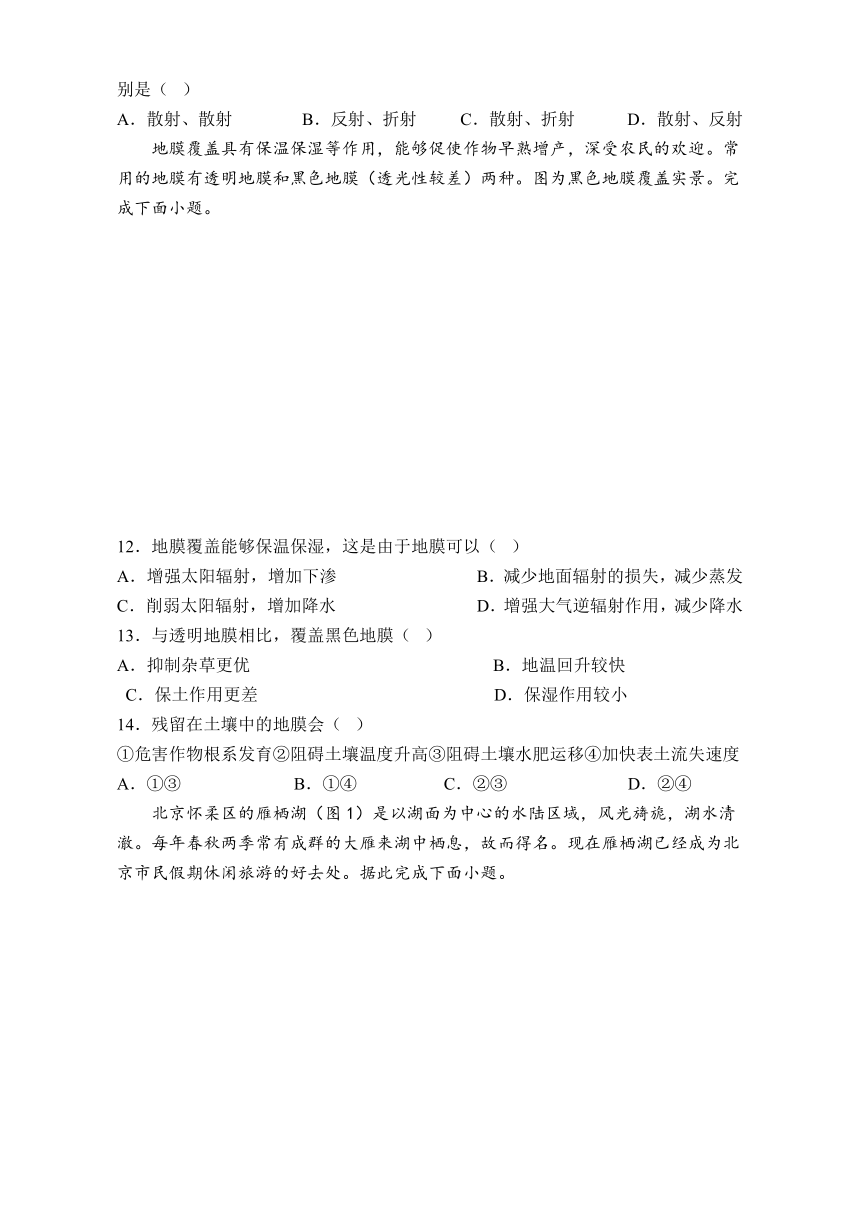 广东省梅州市大埔县虎山高级中学2023-2024学年高一上学期第二次（期中）教学质量检测地理试题（含解析）