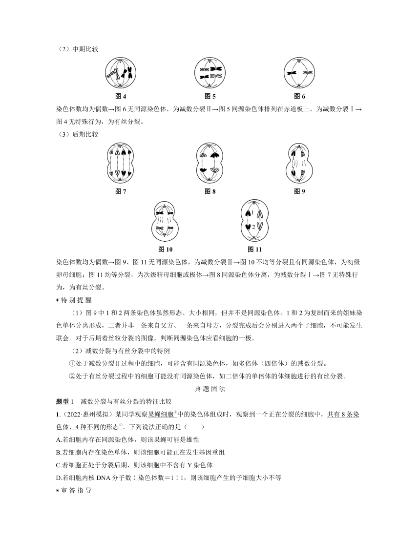 新人教生物一轮复习高频考点解析训练：2  减数分裂与有丝分裂的比较（含解析）