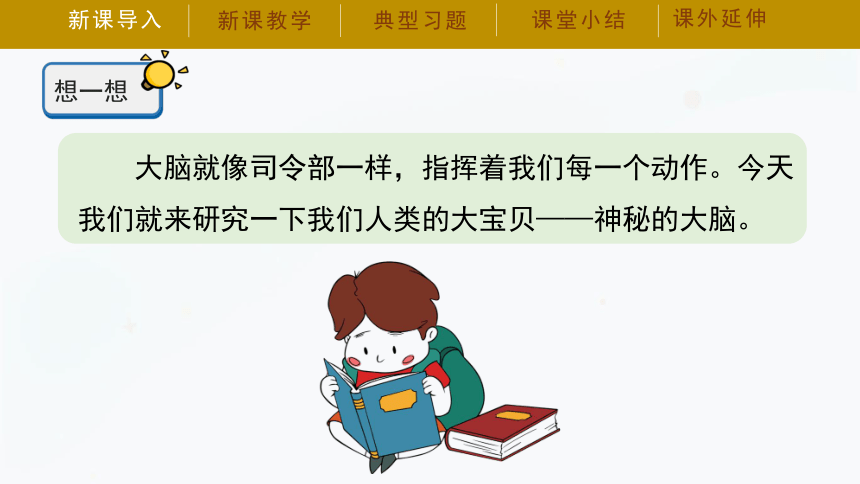 湘科版（2017秋）五年级上册1.2人体指挥部——脑 课件（33张PPT）
