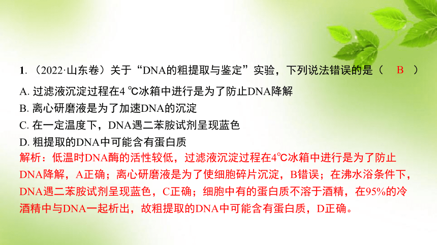 人教高考生物一轮复习课件：第51讲　DNA的粗提取与鉴定、DNA片段的扩增及电泳鉴定(共21张PPT)