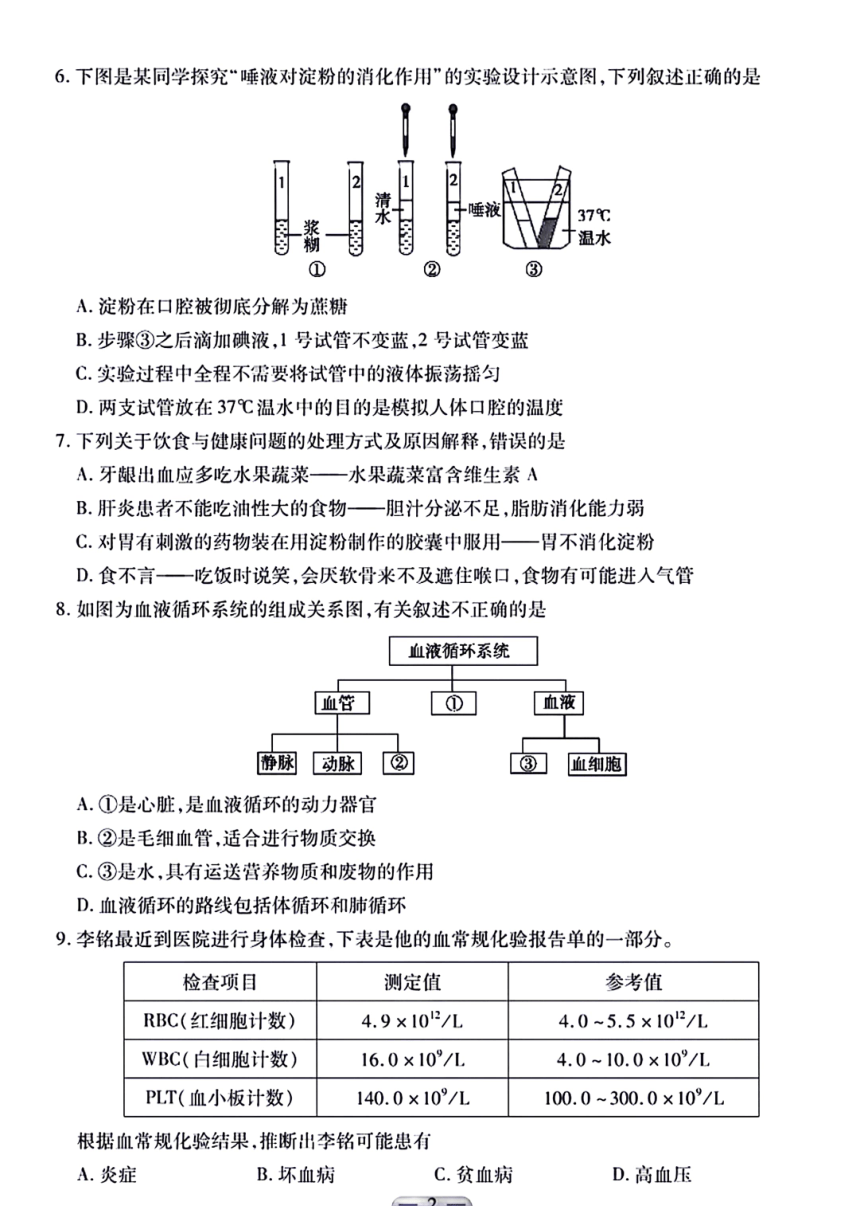 河北省保定市莲池区2022-2023学年七年级下学期期末生物试题（图片版  含答案）