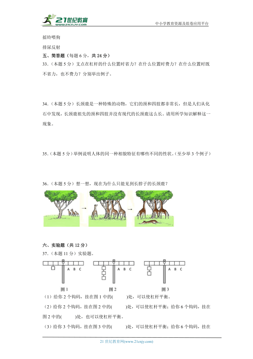 粤教版六年级上册科学期末试题 (含答案)