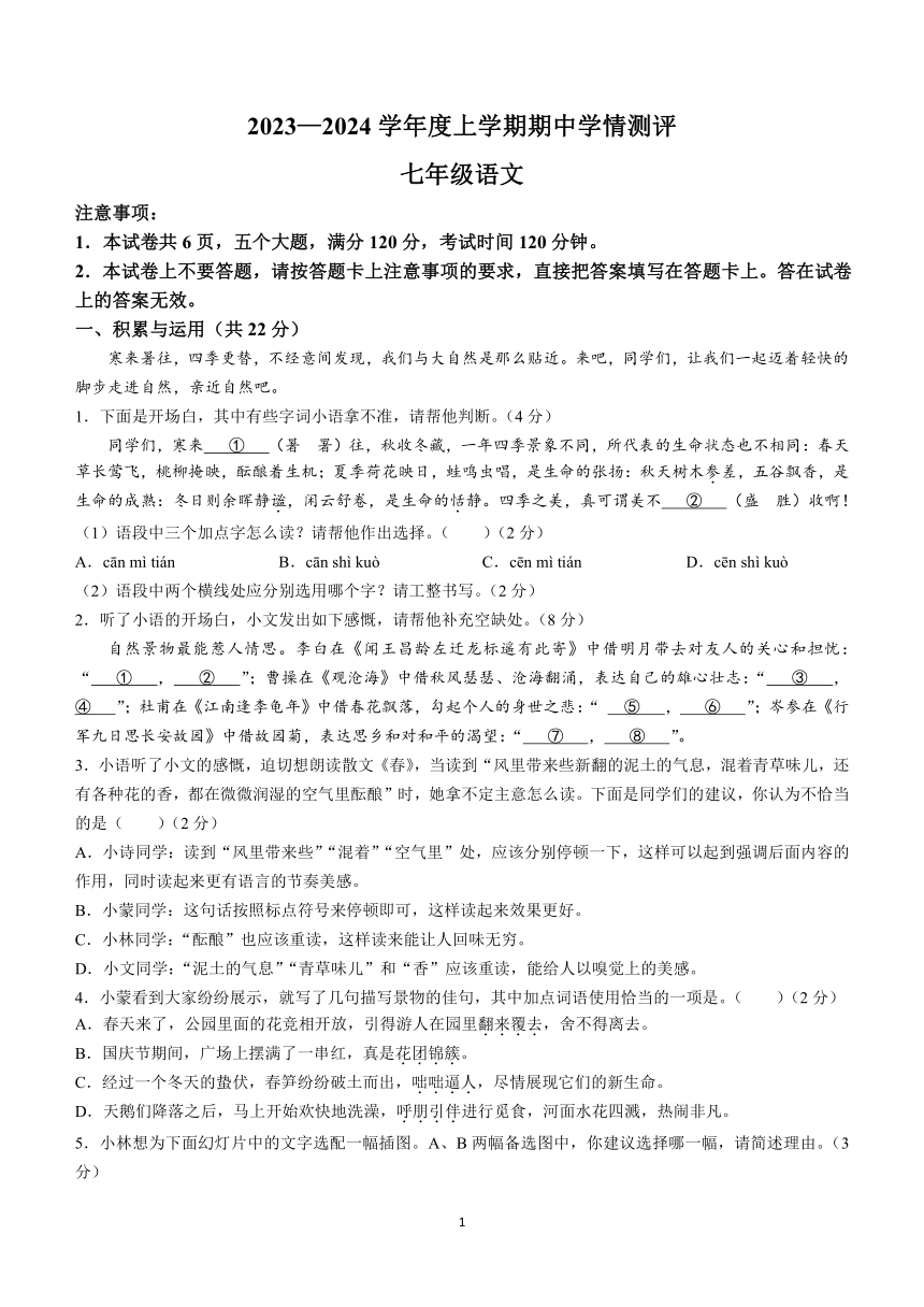 河南省驻马店市平舆县2023-2024学年七年级上学期期中语文试题（含答案）