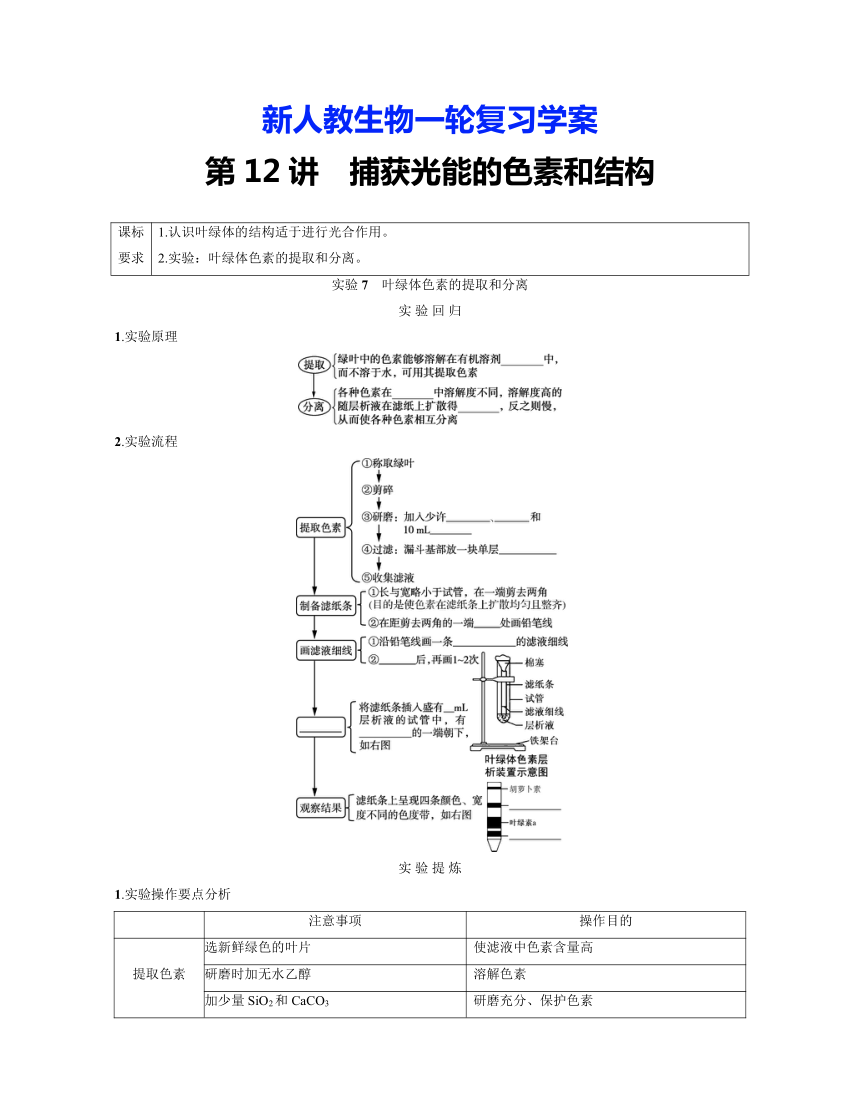 新人教生物一轮复习学案：第12讲　捕获光能的色素和结构（含答案解析）