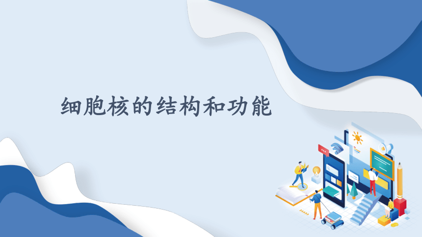 3.3细胞核的结构和功能说课课件(共20张PPT2份视频)2023-2024学年高一上学期生物人教版必修1