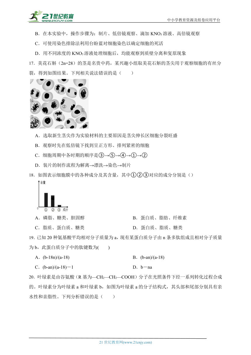 2023-2024学年高中生物北师大版（2019）高一上学期期末测试模拟卷（含解析）