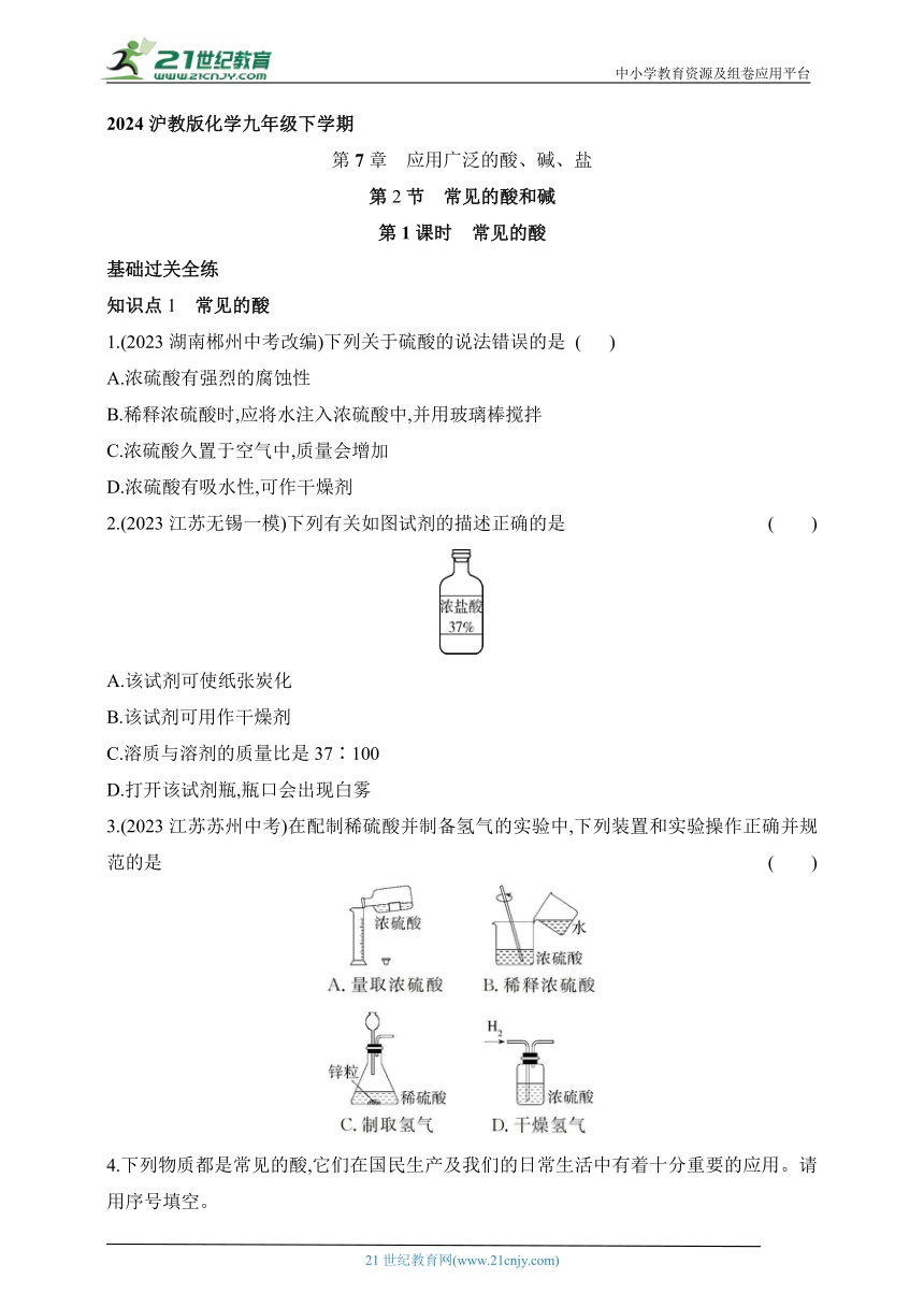 2024沪教版化学九年级下学期课时练--第1课时　常见的酸