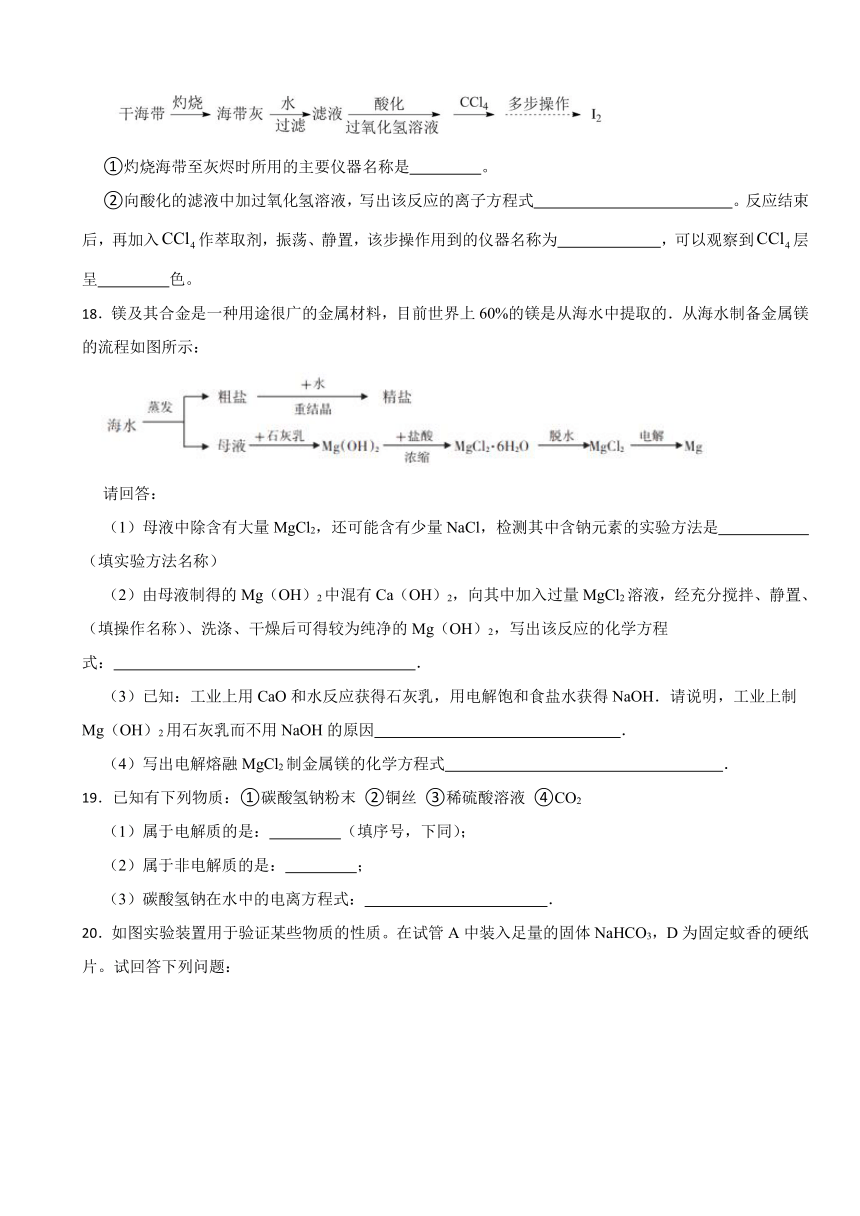 专题3 从海水中获得的化学物质 单元检测（含解析） 2023-2024学年高一上学期化学苏教版（2019）必修第一册