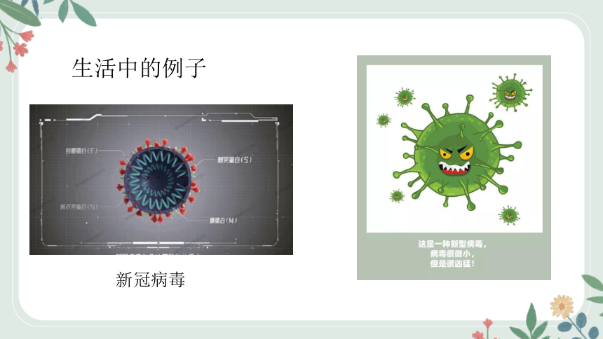 4.3微生物——病毒课件(共15张PPT+内嵌视频1个) 沪教版——生命科学 第二册