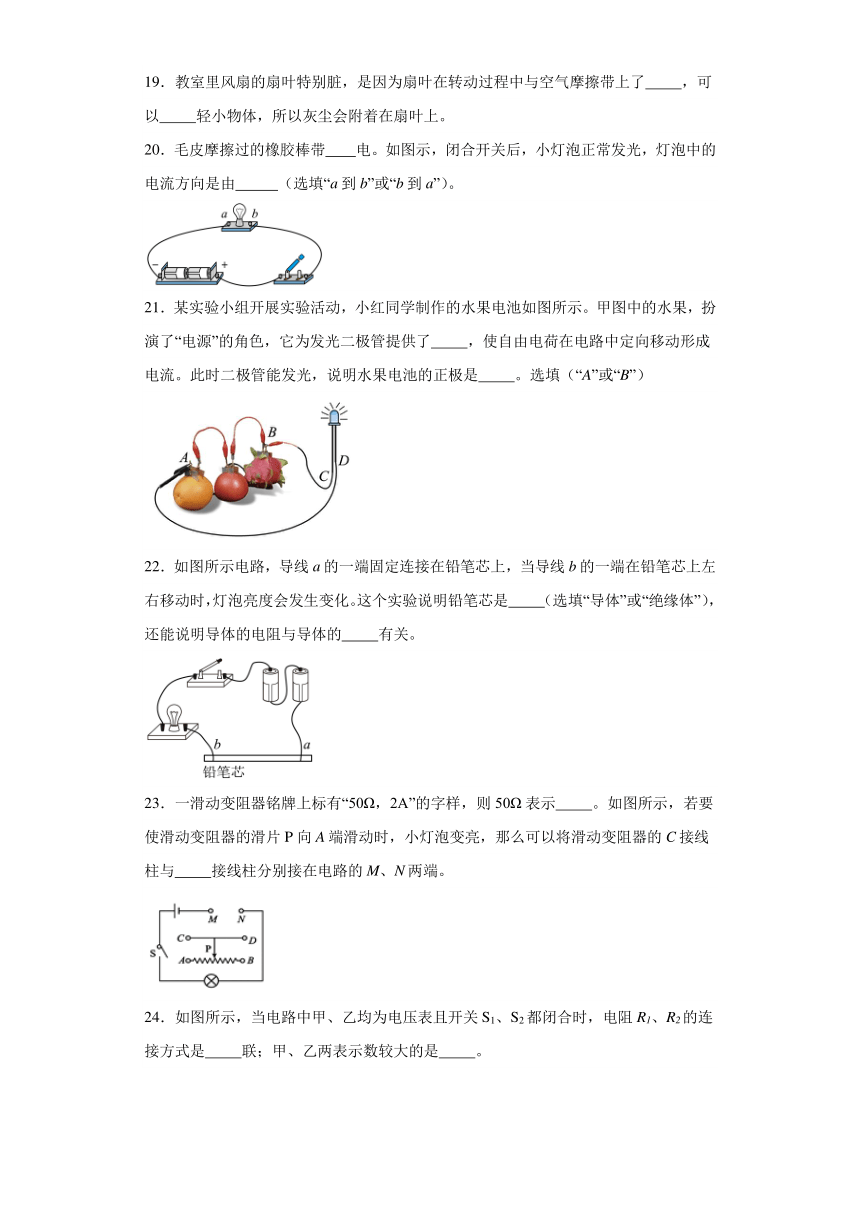 湖南省张家界市永定区2023-2024学年九年级上学期期中考试物理试题（解析版）