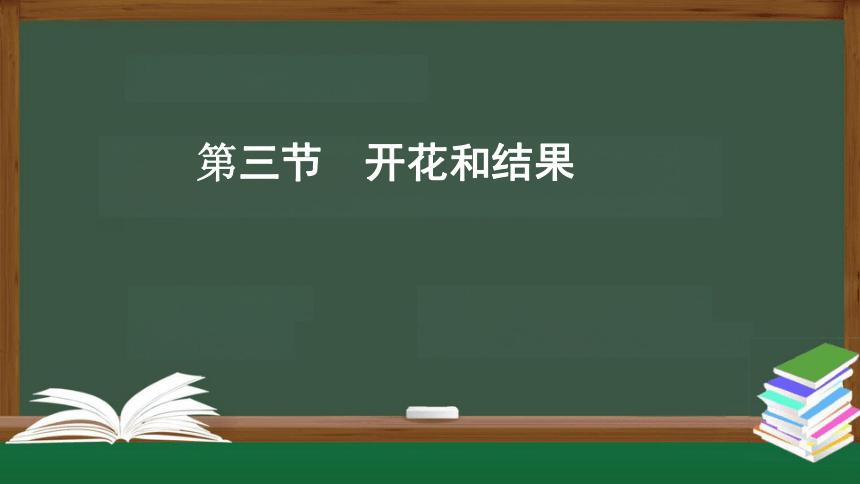 3.2.3 开花和结果 课件（共28张PPT）