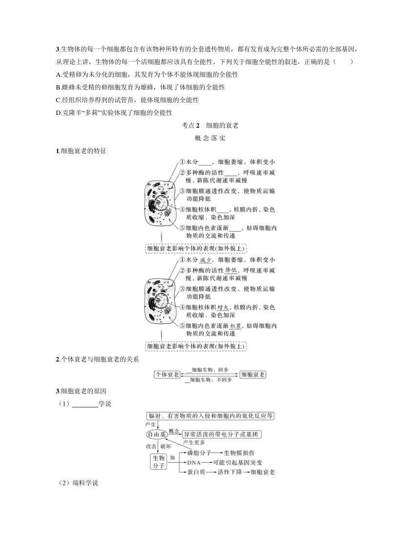 新人教生物一轮复习学案：第16讲　细胞的分化、衰老和死亡（含答案解析）