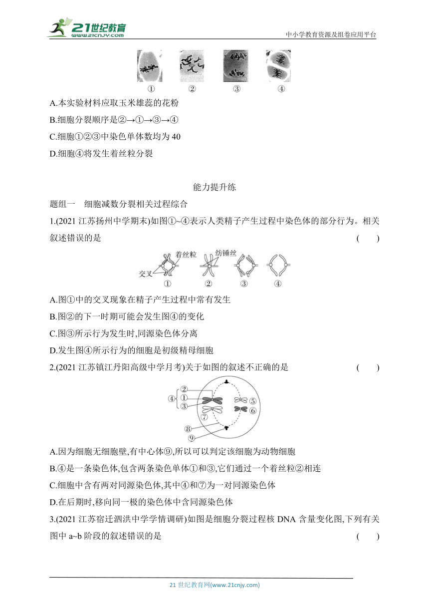 苏教版（2019）高中生物必修2同步练习题：1.1 第一课时  减数分裂产生精子或卵细胞（含解析）