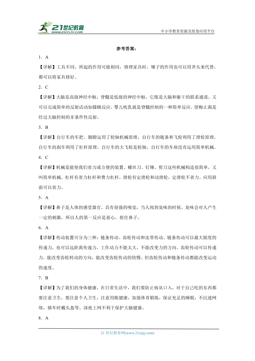 粤教版六年级上册科学期末试题 (含答案)