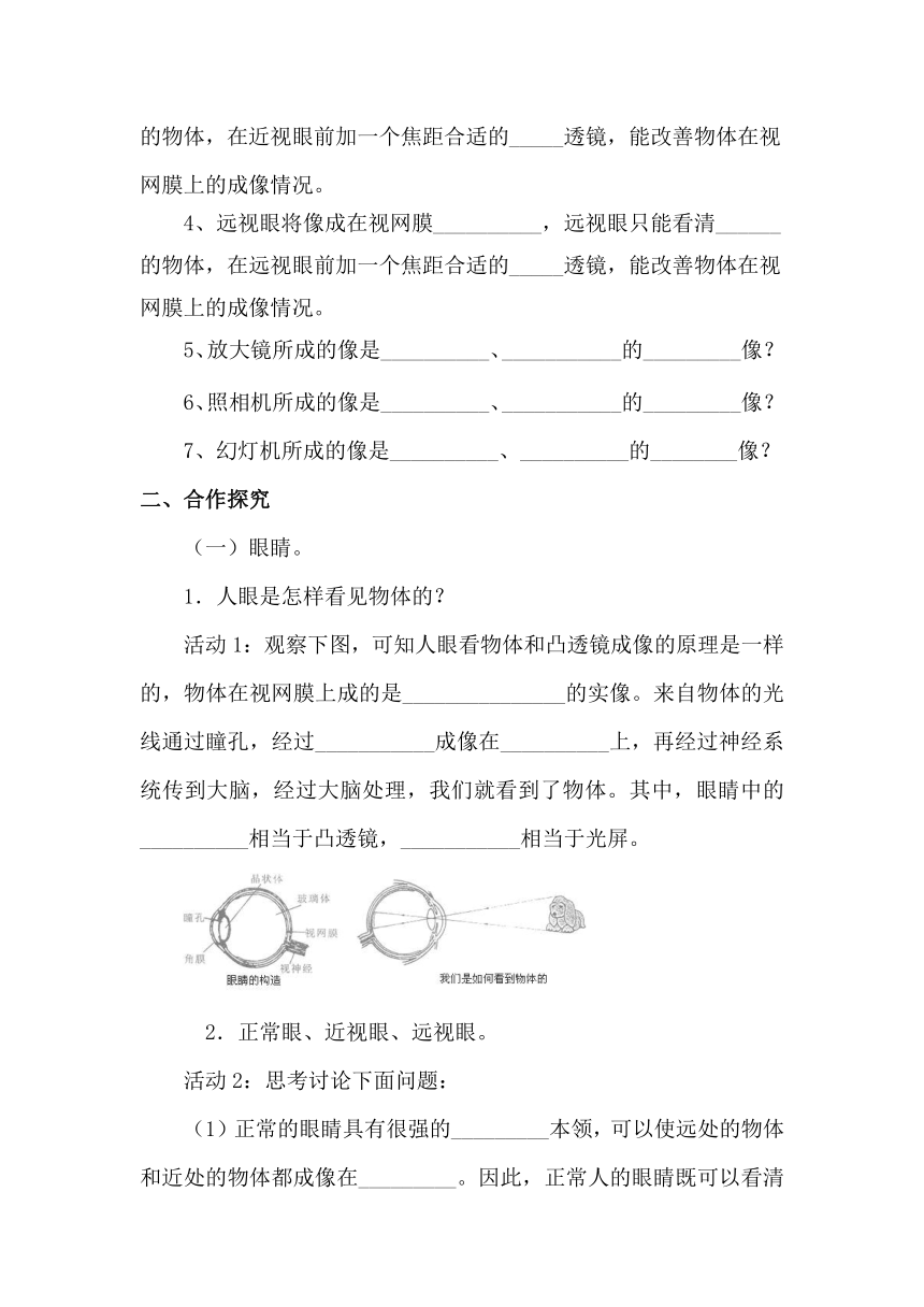 4.6 神奇的眼睛 学案（无答案） 2023-2024年沪科版物理八年级全册