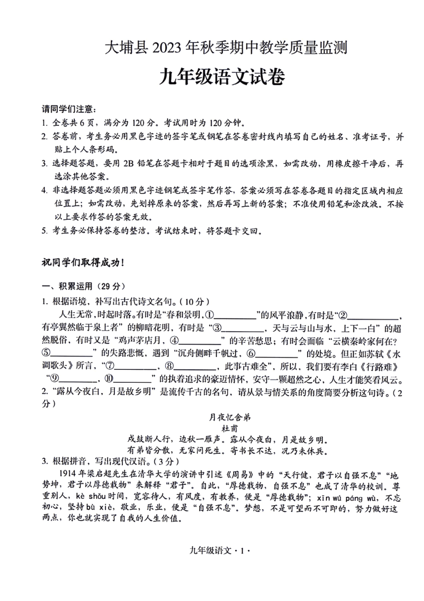 广东省梅州市大埔县2023-2024学年九年级上学期期中考试语文试题（PDF版含答案）