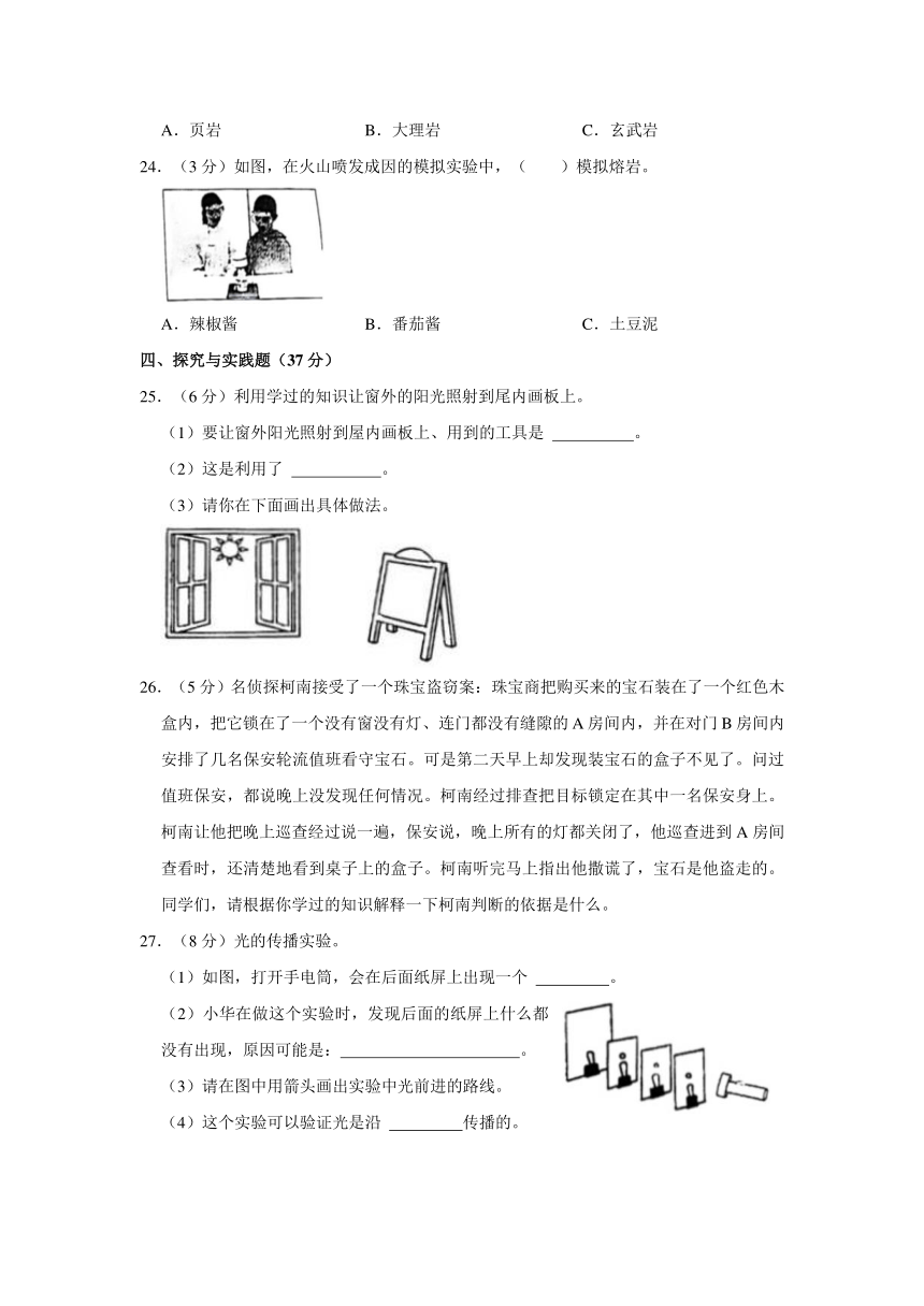 江苏省徐州市沛县2023-2024学年五年级上学期期中科学试卷（含解析）