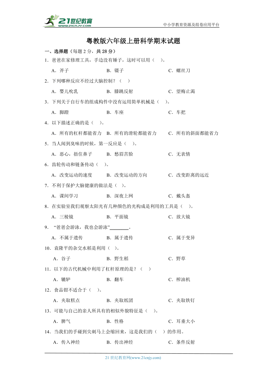 粤教版六年级上册科学期末试题 (含答案)