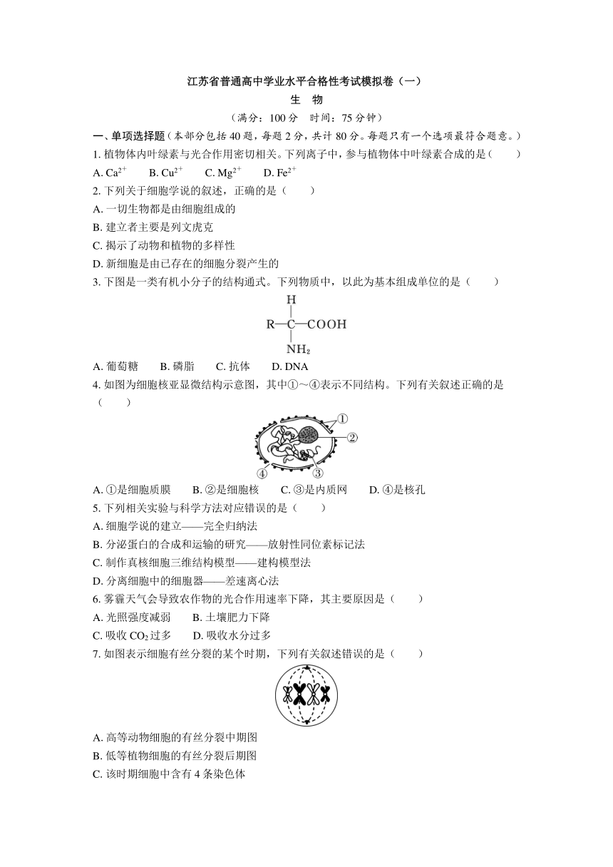 江苏省普通高中学业水平合格性考试模拟卷（一）生物（含答案）