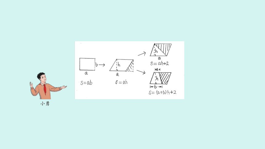 （2023秋新插图）人教版五年级数学上册 6 多边形的面积整理和复习（课件）