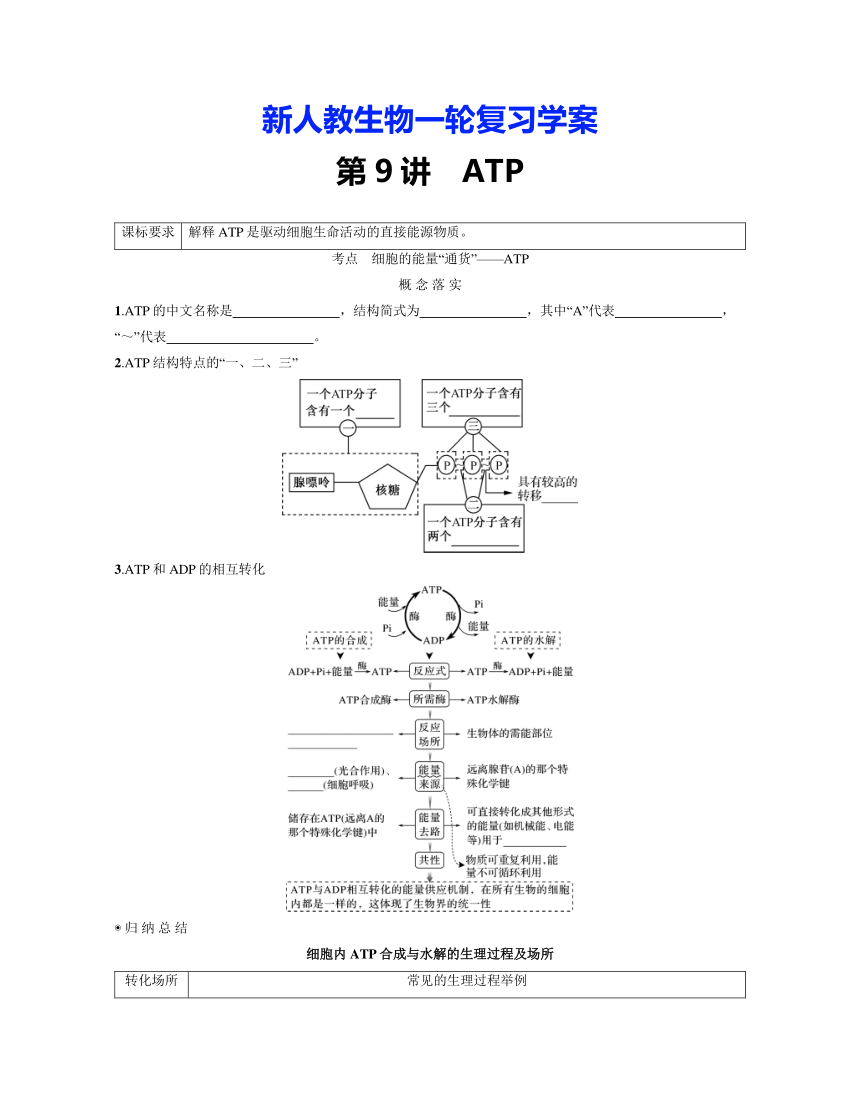 新人教生物一轮复习学案：第9讲　ATP（含答案解析）