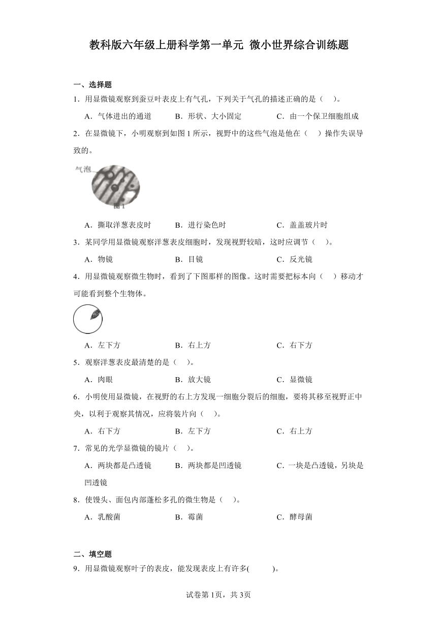 教科版六年级上册科学第一单元微小世界综合训练题（含答案）