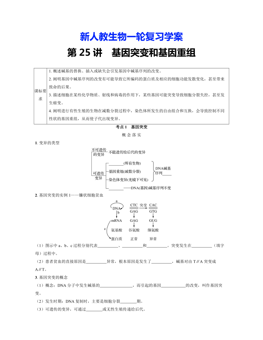 新人教生物一轮复习学案：第25讲　基因突变和基因重组（含答案解析）